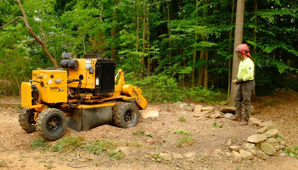 Stump Grinding Experts In Cary NC Offer Services To Residents