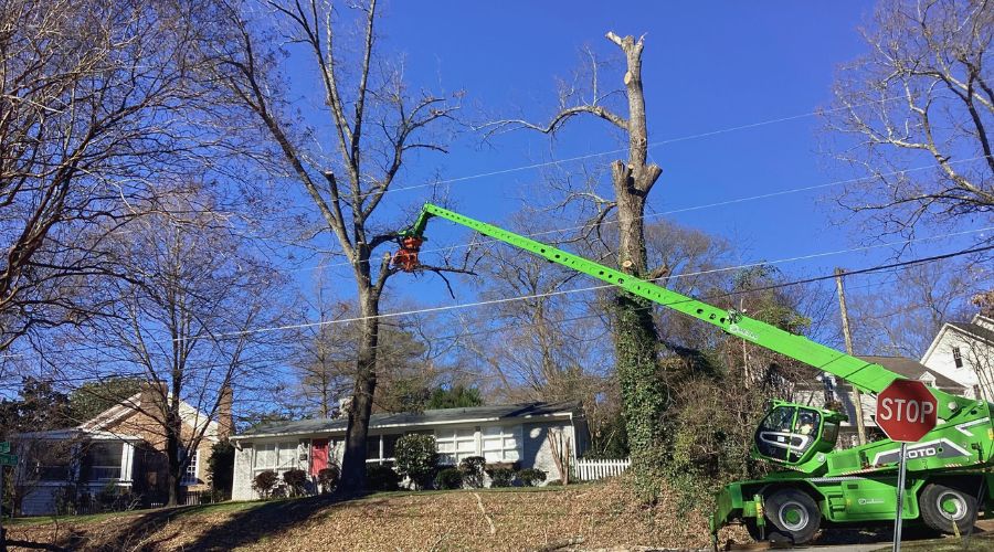 Raleigh Tree Service using a climber and a crane to remove a large tree growing dangerously close to a home near Raleigh, NC.