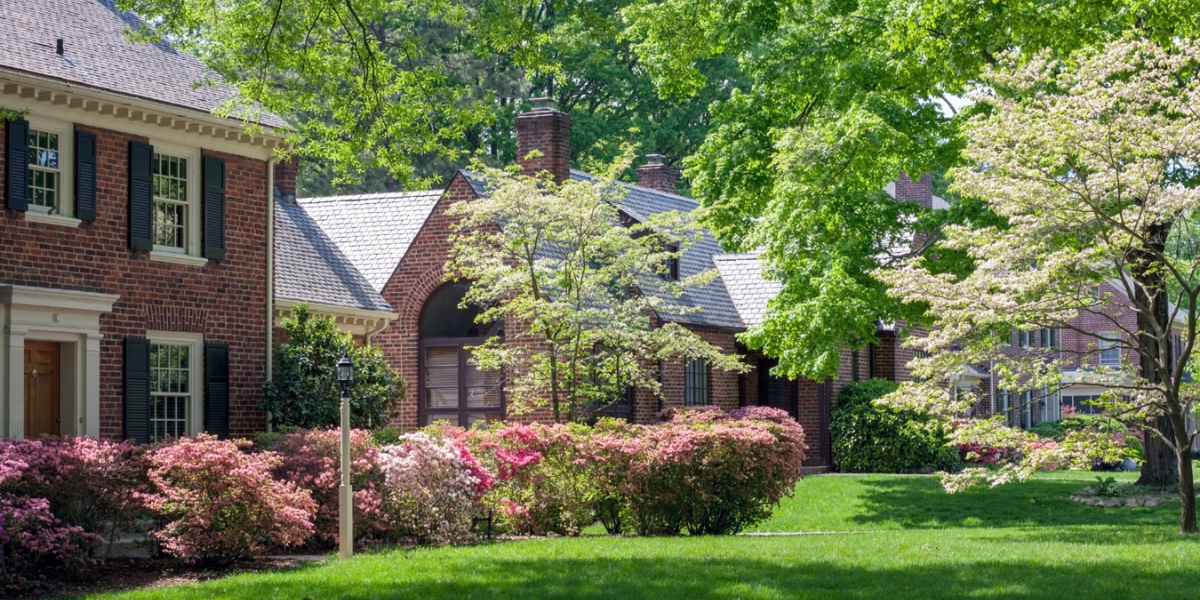 A suburban Raleigh landscape with mature trees in the summer.