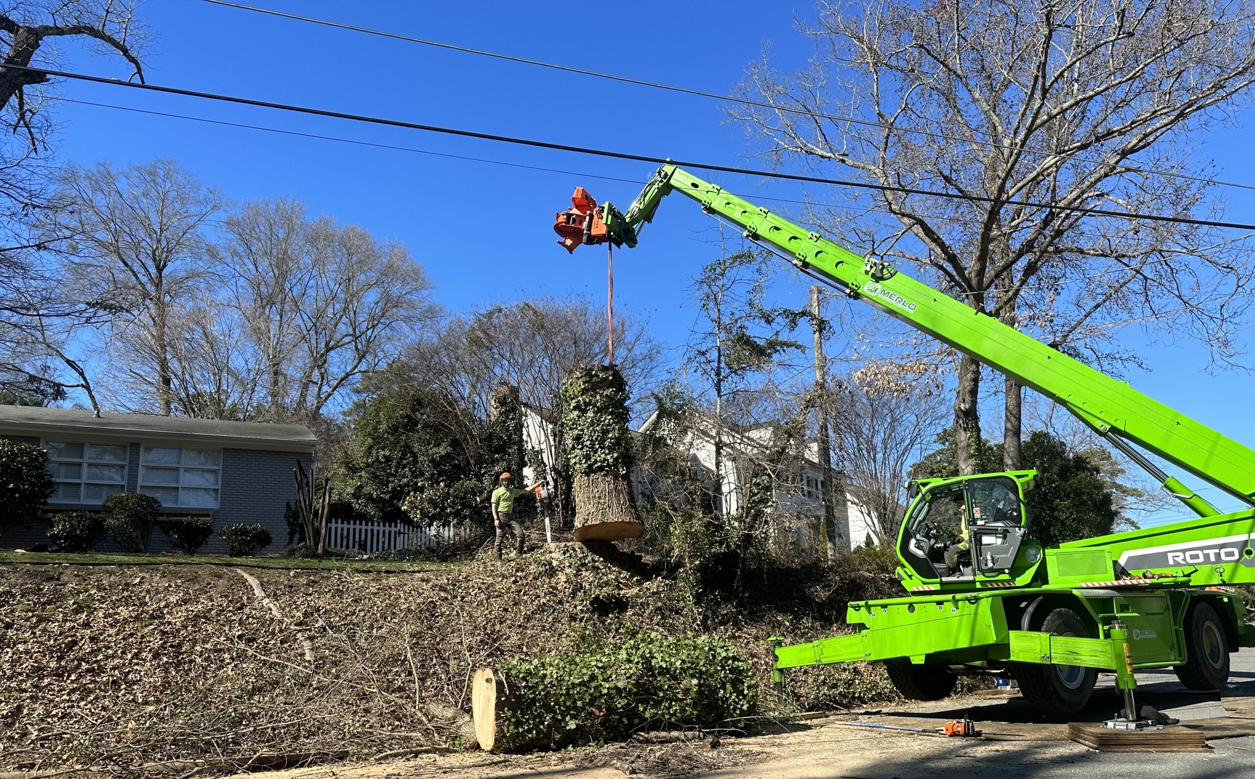 Raleigh Tree Service removing a hazardous tree from a front yard in Raleigh, NC.