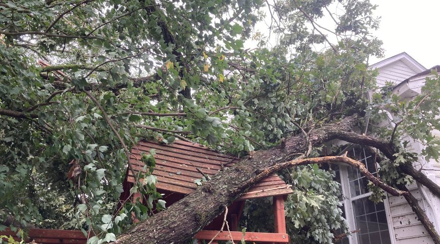 A tree that fell onto a home in Raleigh during a storm.