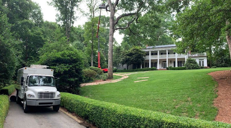 Some of the heavy machinery and trucks required for tree removal in Raleigh, NC