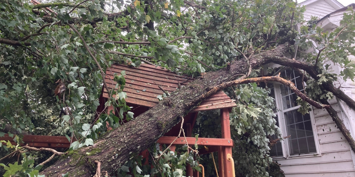 A tree that fell onto a home in Raleigh, NC during a storm.