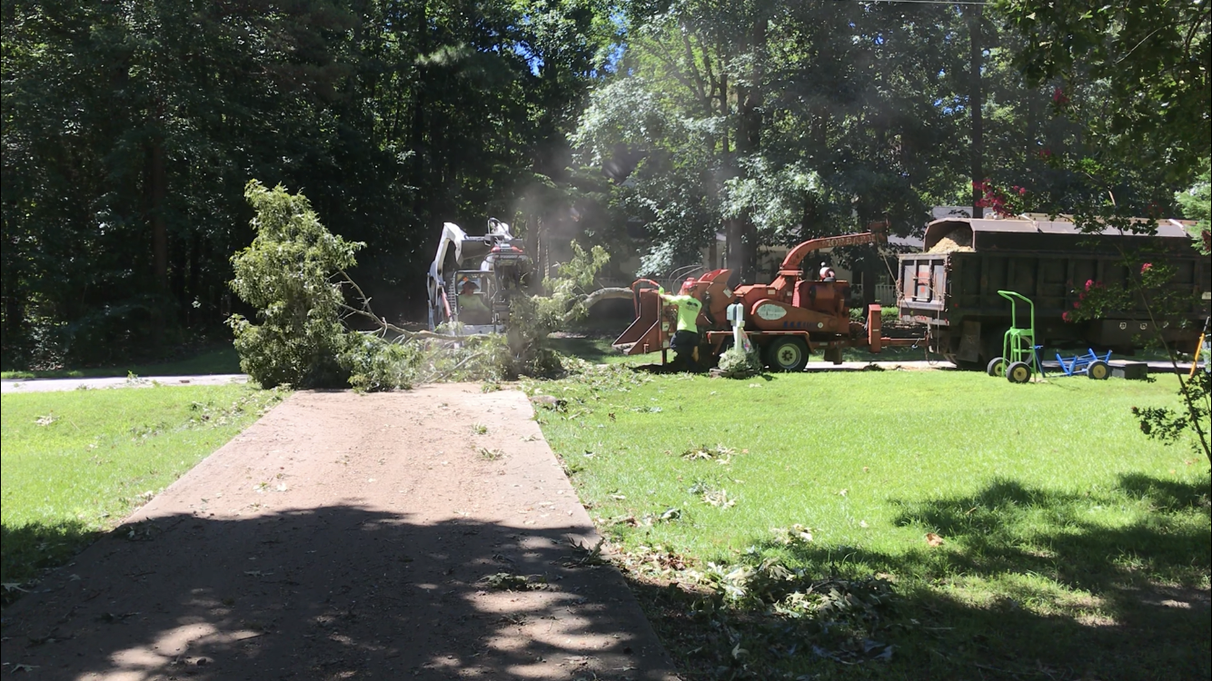 Raleigh-removal-cleanup-chipping-branch-022524