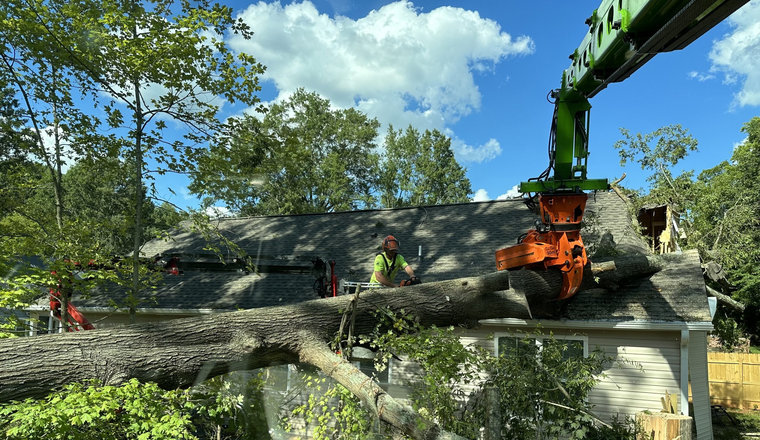 Raleigh-storm-damage-tree-removal-with-grapple-saw-022524