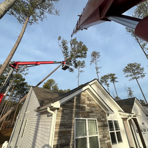 Arborist on a spider lift removing a leaning tree on a house in Durham, NC.