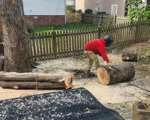 Cleaning up some trees removed after a storm in Garner, NC.