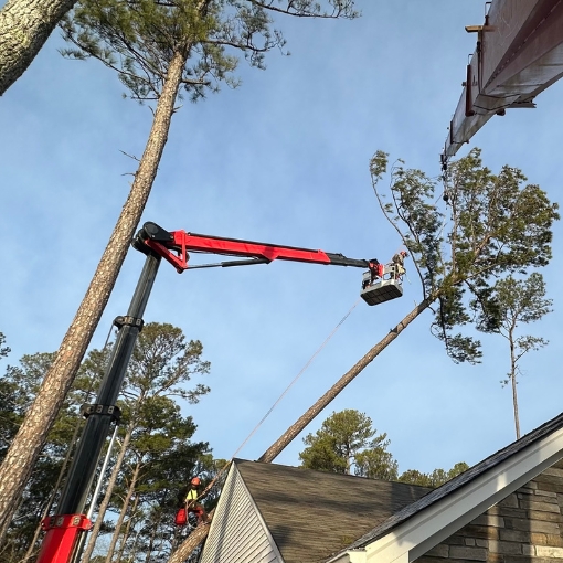 Tree arborist team of Raleigh Tree Service on a tree emergency removal in Garner, NC.