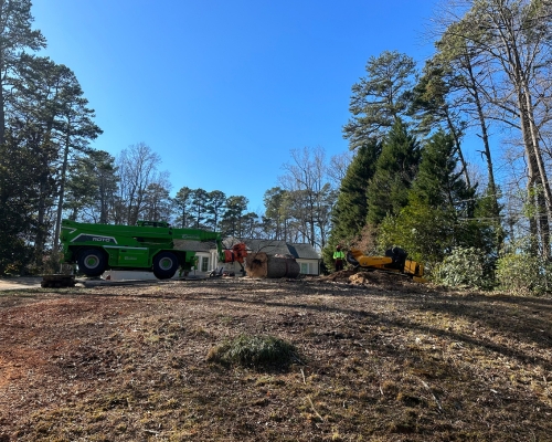 Stump are being removed after arborist removed and cleared a land area in Raleigh, NC.