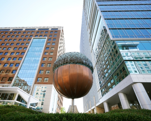 View of the acorn in Fayetteville street on downtown Raleigh, NC.