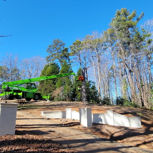 Grapple saw removing a tree in Wake Forest, NC on a clear summer day.