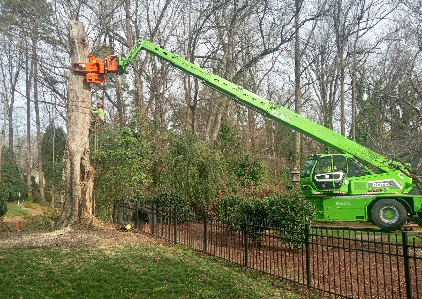 Grapple saw crane removing a tree in sections on a property in Wake Forest, NC.