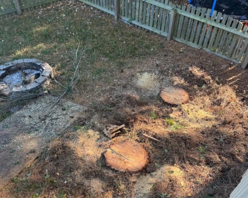 Lot clearing will includes clean up and stump removal on a residential lot in Wake Forest, NC.