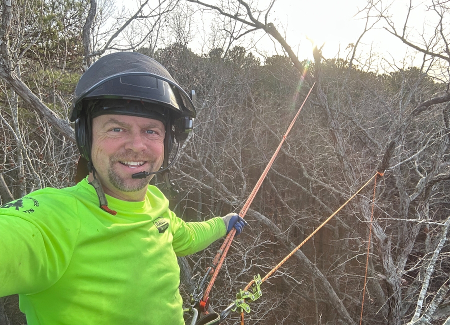 Will, owner and CEO of Raleigh Tree Service, is harnessed on a tree to start a tree removal in Raleigh, NC.