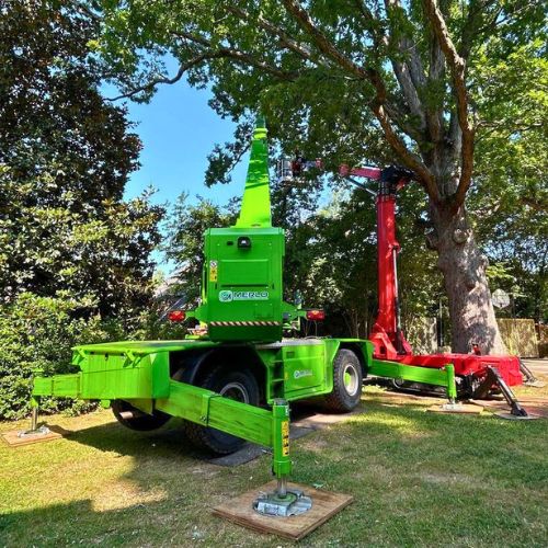 Raleigh tree service utilizing their crane and spider lift together for a tree removal.