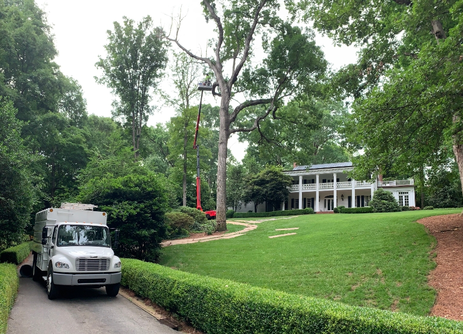 Raleigh Tree Service truck and spider crane doing a tree removal in a residential property in Raleigh, NC.