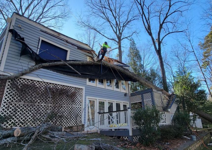 Raleigh tree service crew member on top of roof trying to assess how to remove the storm fallen tree.