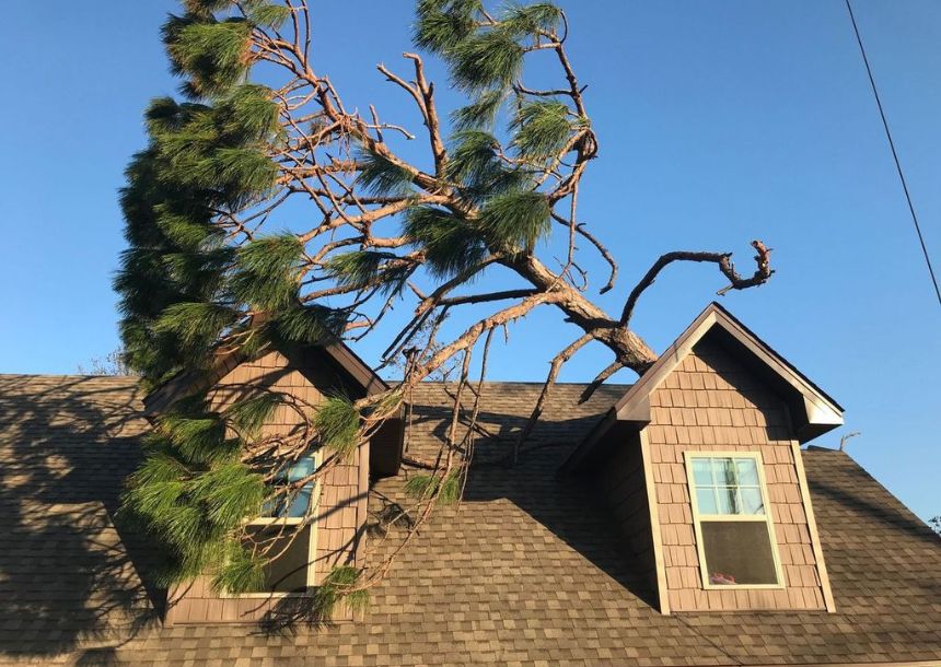 A storm fallen tree on top of a roof of a house ready for emergency removal by Raleigh tree service.