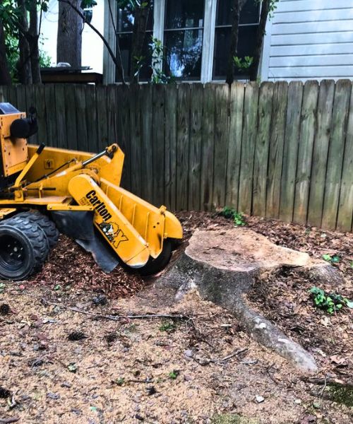 A stump grinding performed by raleigh tree service using their very own stump grinder.