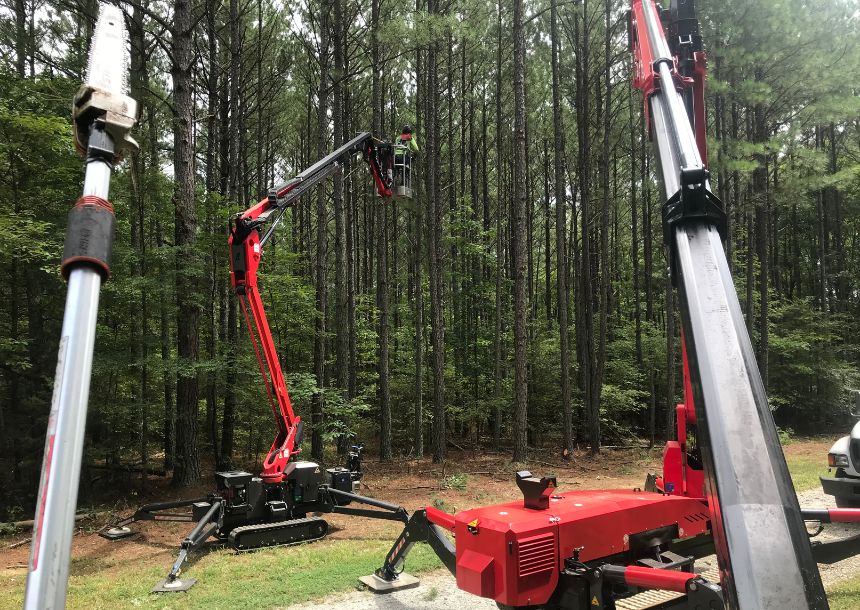 Raleigh tree service showing their two red spirder lifts in action.