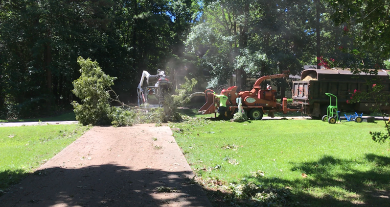 Tree Service Experts in Wake Forest are Available for your Lot Clearing Needs