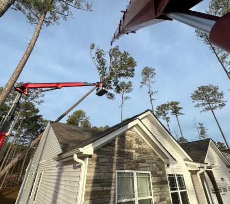 using a spider lift to remove a leaning tree on a house in Raleigh NC.