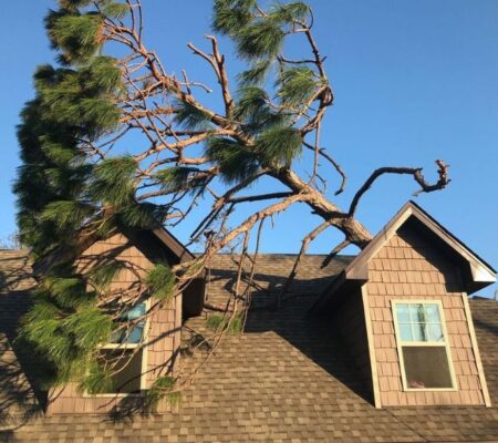 A storm fallen tree on top of a roof of a house ready for emergency removal by Raleigh tree service.