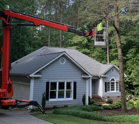 prevent tree from falling on house