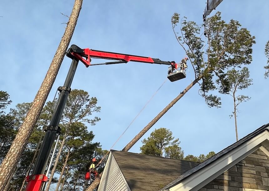 emergency-tree-removal-near-me-knightdale-north-carolina