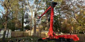 how to dispose of tree branches