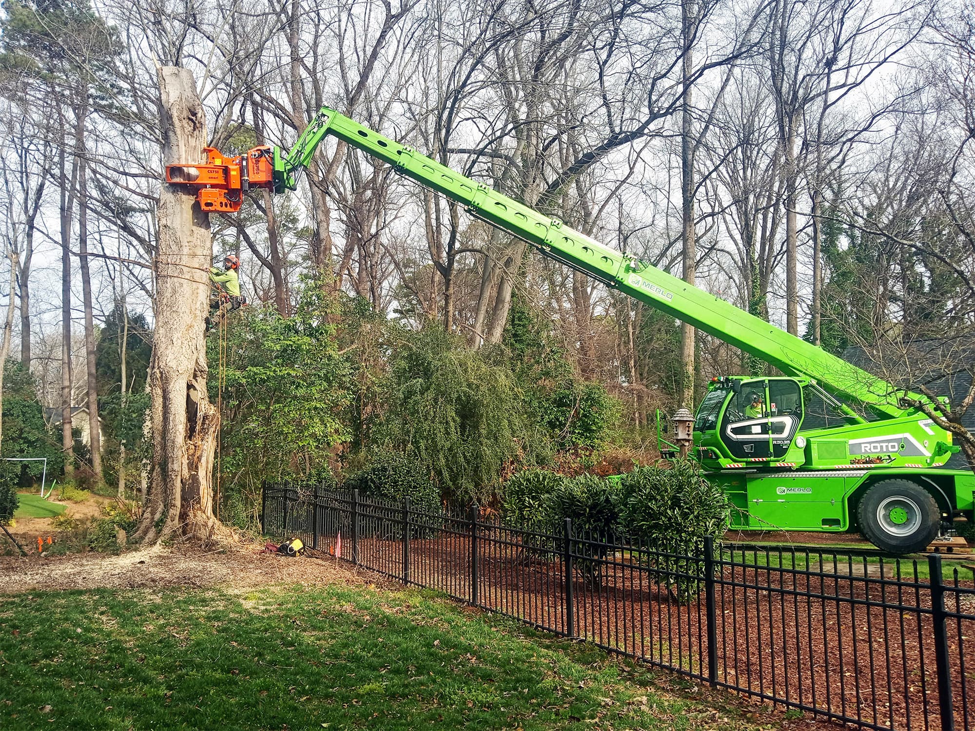 raleigh tree service near you in the triangle
