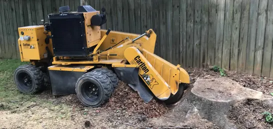 stump grinding removal raleigh nc