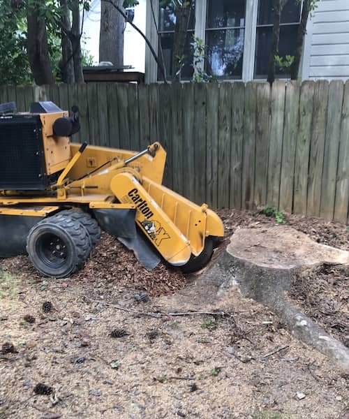 Stump grinding service near me in Raleigh, NC