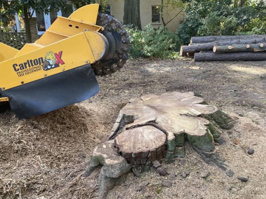 Stump grinding service near you in Raleigh, NC