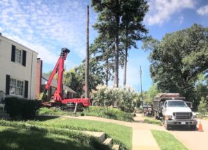 Tree removal near me in Knightdale, North Carolina title image