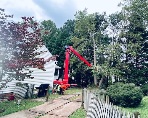 tree-removal-near-me-knightdale-north-carolina