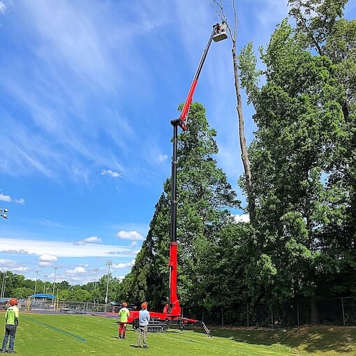 tree-trimming-near-me-knightdale-north-carolina